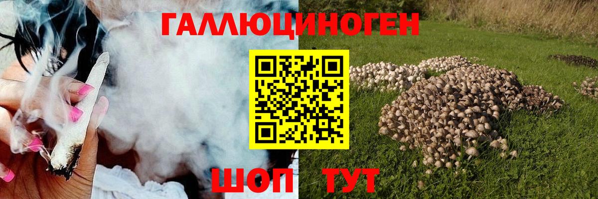 Галлюциногенные грибы Psilocybe  закладка  Казань  Вход с VPN 