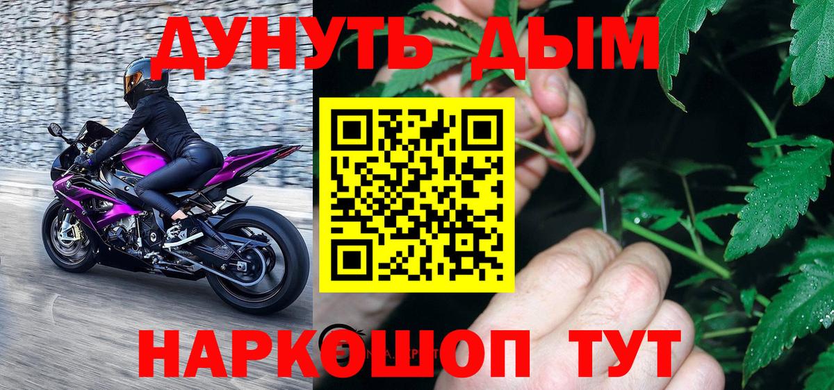 Конопля семена  Конопля сатива  Каннабис Amnesia  Канабис конопля  Вход с VPN  Казань 